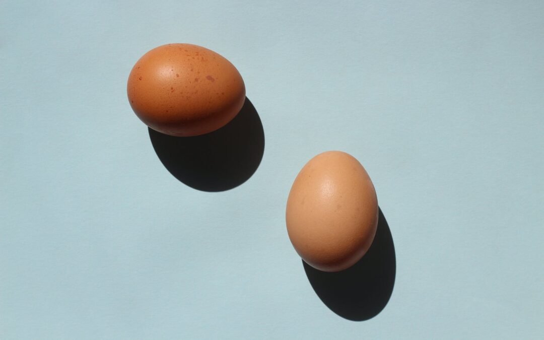 Voorbeeld dagmenu